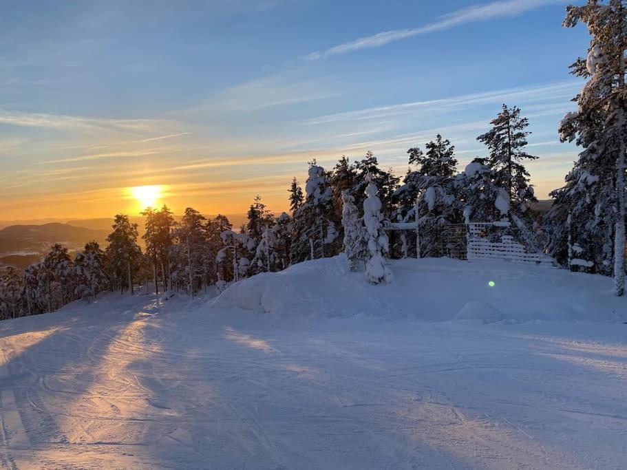 Modern Stuga Med Ski Lodge Kaensla Järvsö Extérieur photo